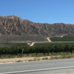 Wine Country - www.losangelesbikers.com